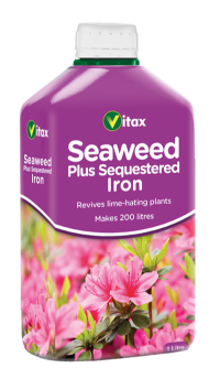 Seaweed + Iron