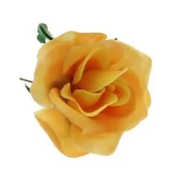 Yellow Rose 