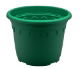 Soparco Roma 8.7L 2785 Injec Pine GREEN (48)