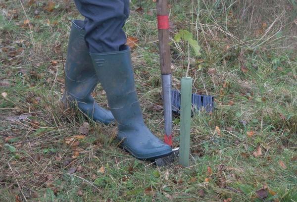 Vole Guard Tube 100% Bio Based