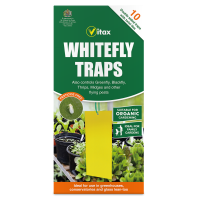 Whitefly Traps