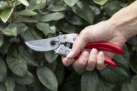 ARS VS-7XZ Professional Secateurs Small