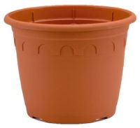 Soparco Roma | 1.1L | 2705 | Clay (240)