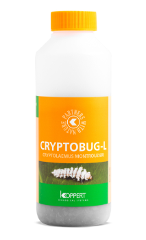 Cryptobug - L