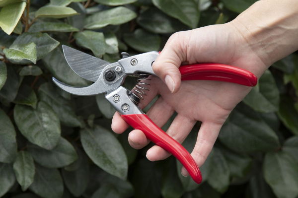 ARS VS-7XZ Professional Secateurs Small