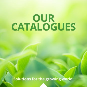 View Our Catalogues