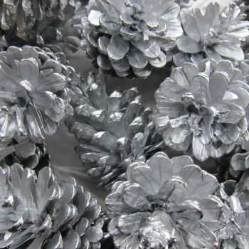 Silver Pine Cones