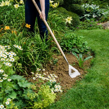 Kent and Stowe - Stainless Steel Long Handled Dutch Hoe