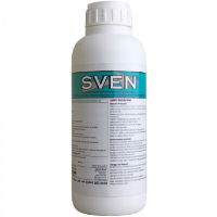 Sven (1L)