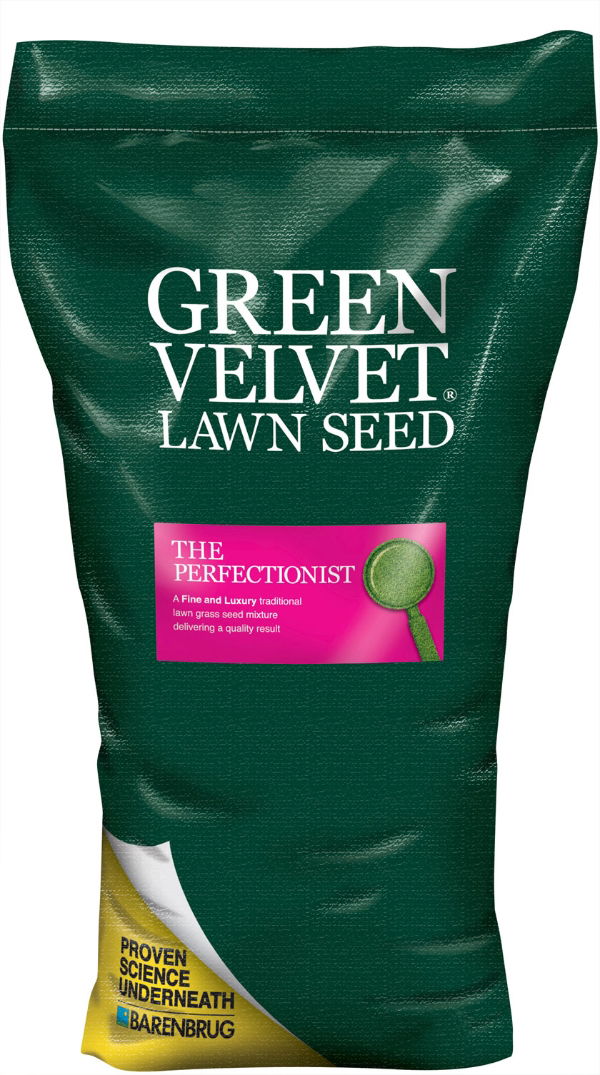 Green_Velvet_Bag_Perfectionist