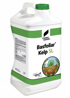 basfoliar-kelp