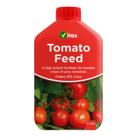 Tomato Feed