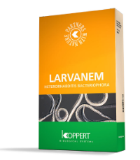 Larvanem 50 Million Sachet