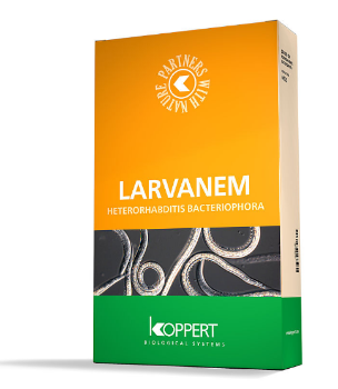 Larvanem 50 Million Sachet