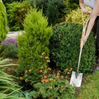 Kent and Stowe - Stainless Steel Border Spade