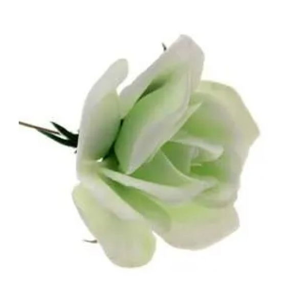 White Rose