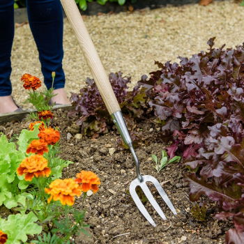 Kent & Stowe - Long Handled Fork