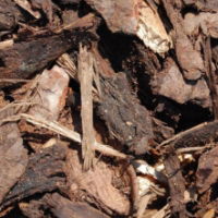 Melcourt Amenity Bark Mulch