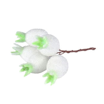 Frosted White Rosehips 