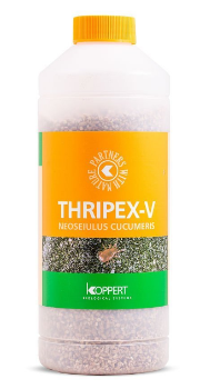 Thripex-V Neoseiulus cucumeris 1000ml