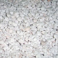 Perlite Standard 100L Bag