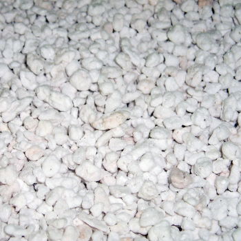 Perlite Standard 100L Bag