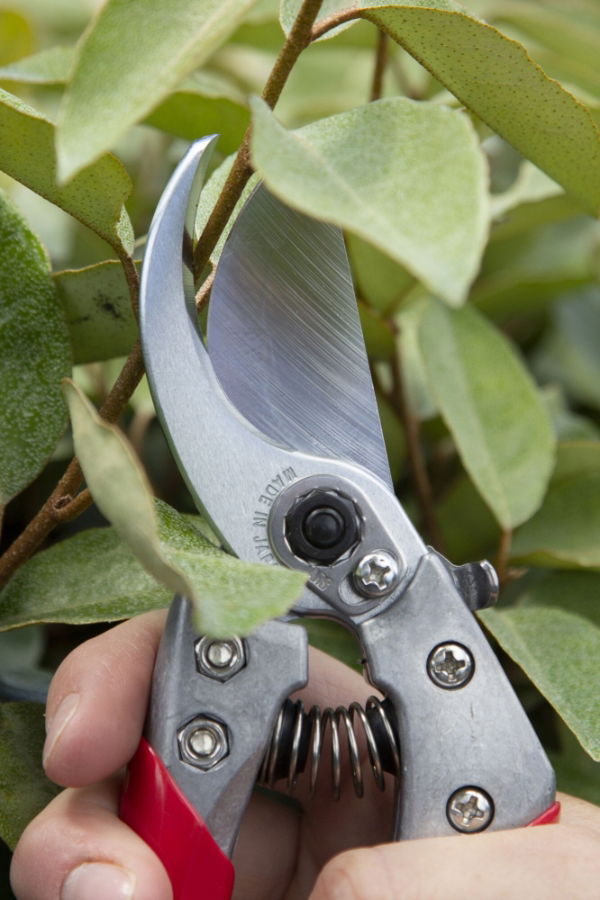 ARS VS-7XZ Professional Secateurs Small