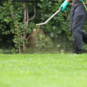 Weed Control