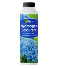 Hydrangea Colourant