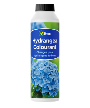 Hydrangea Colourant