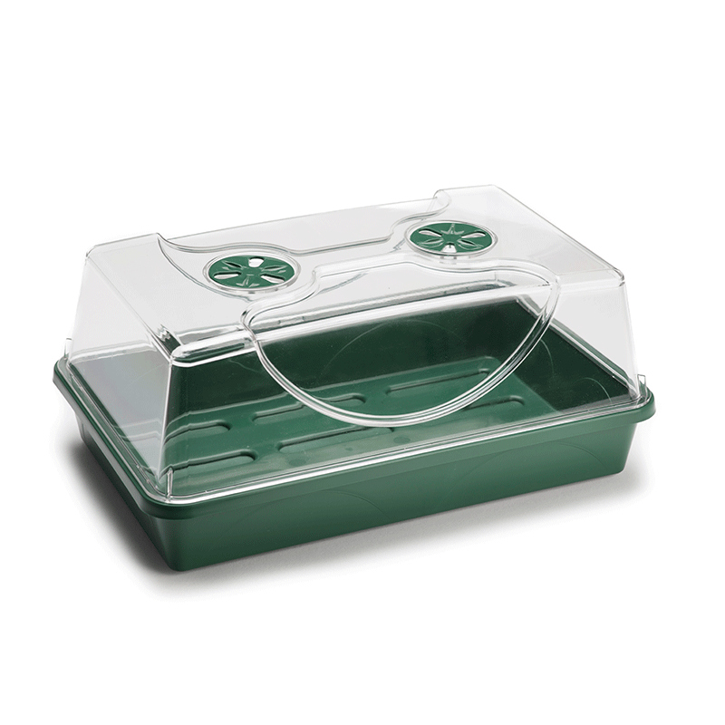 Medium Propagator with Lid 38x24x16cm (Single)