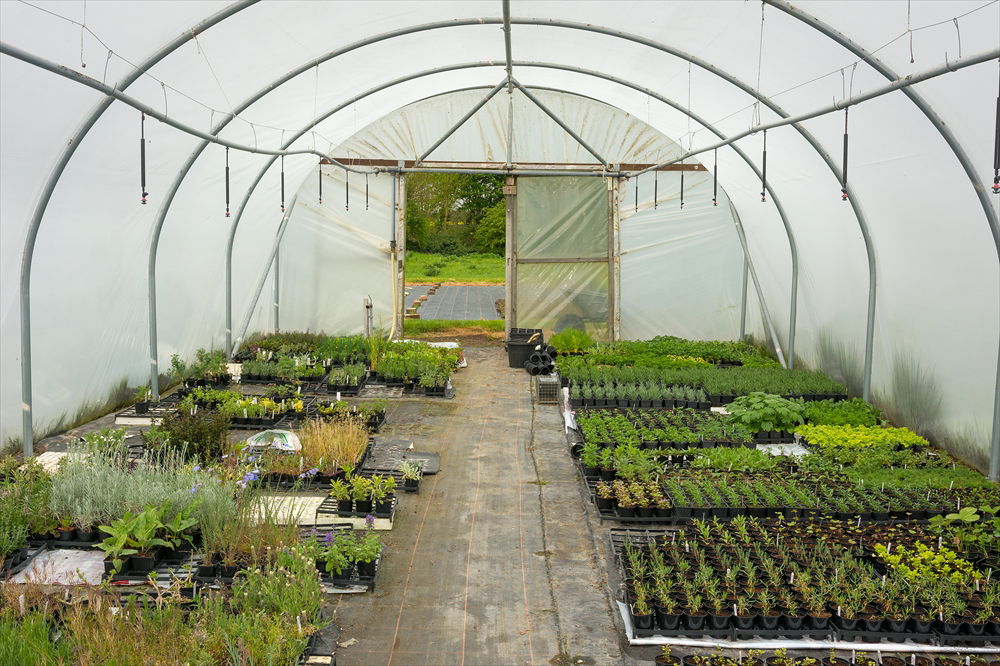 Poly Tunnel