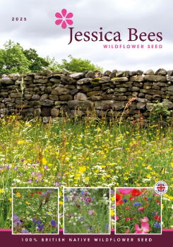 Jessica Bee's Wildflower Product Guide