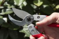 ARS VA-8Z Professional Anvil Secateurs 8\" (1)