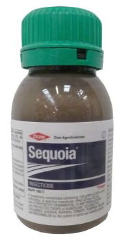 Sequoia 250ml