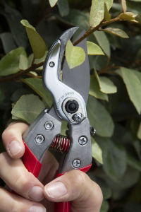 ARS VA-8Z Professional Anvil Secateurs 8\" (1)