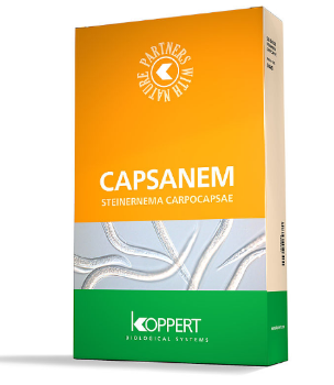 Capsanem 50 Million Sachet